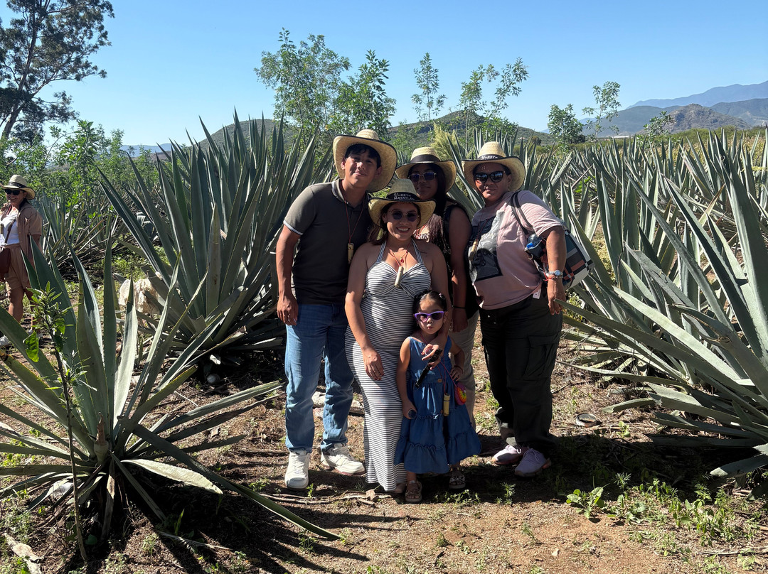 Jar8's Tours-Nanchital de Lazaro Cardenas del Rio必去景点