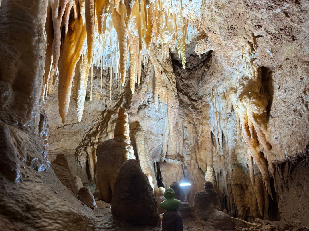 Cosmic Cavern-Berryville必去景点