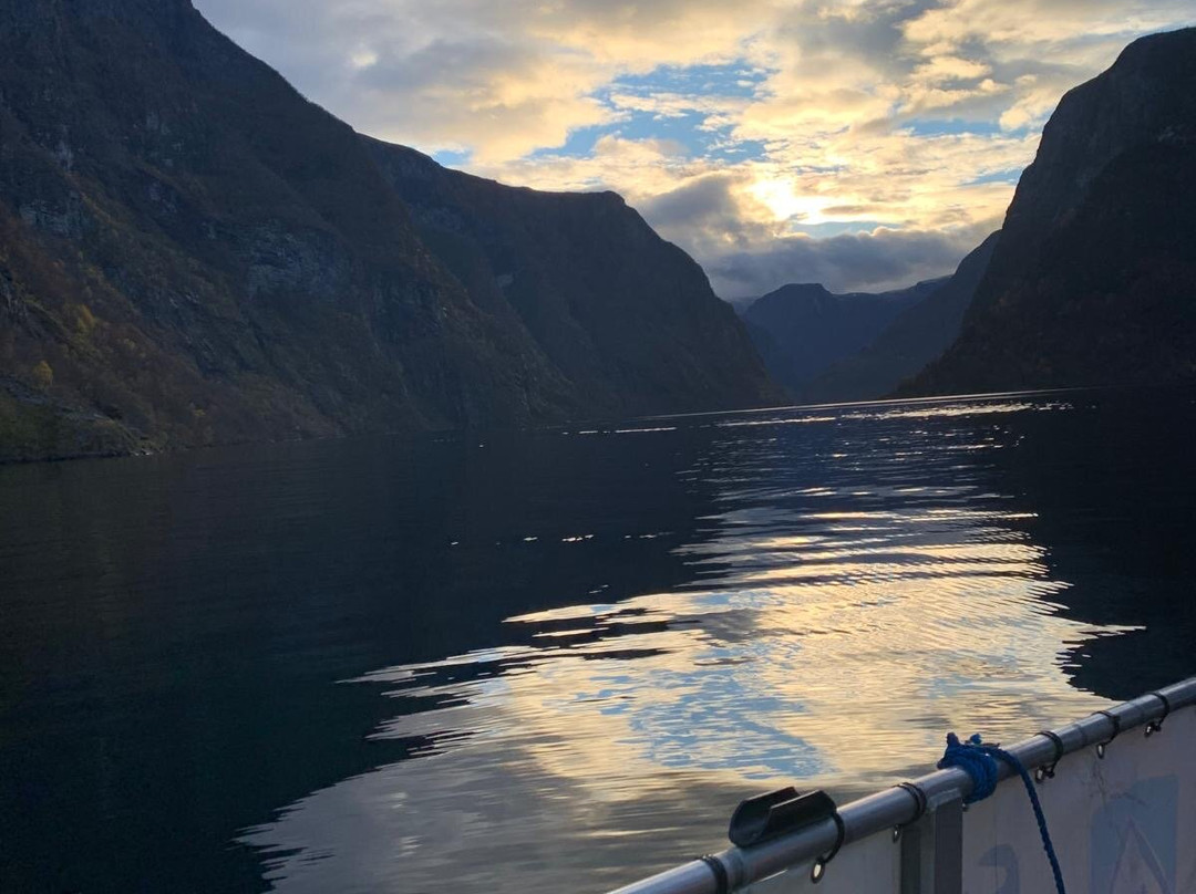 FjordSafari-弗洛姆必去景点