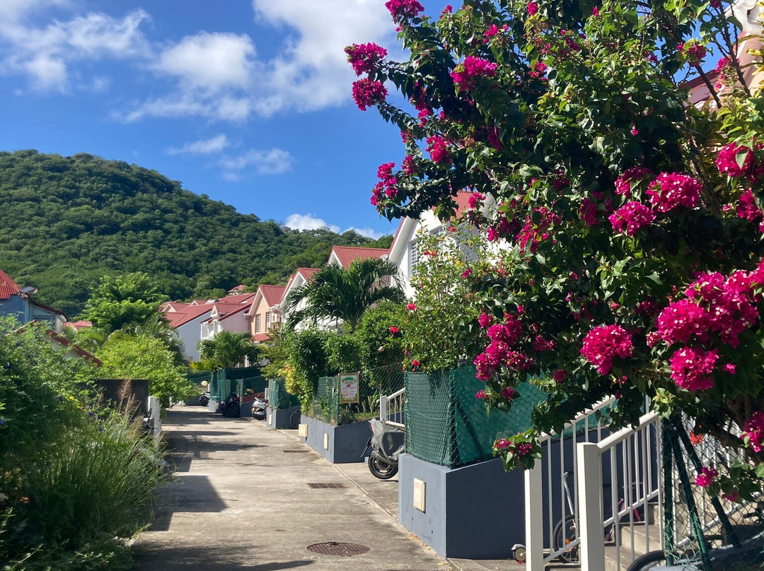 Les Saintes-瓜德罗普岛必去景点