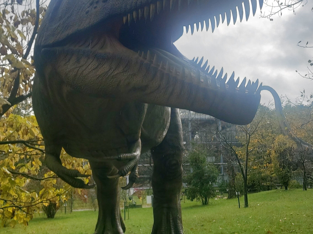 Het Oertijdmuseum-Boxtel必去景点