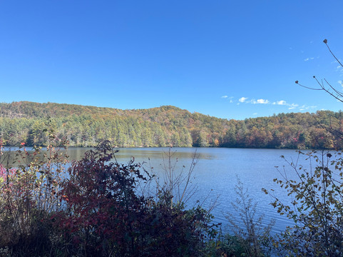 Pisgah Mountain Bike Adventures - Day Tours-阿什维尔必去景点