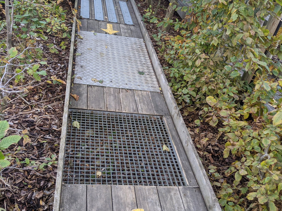 Familiepark De Sierk-德韩必去景点