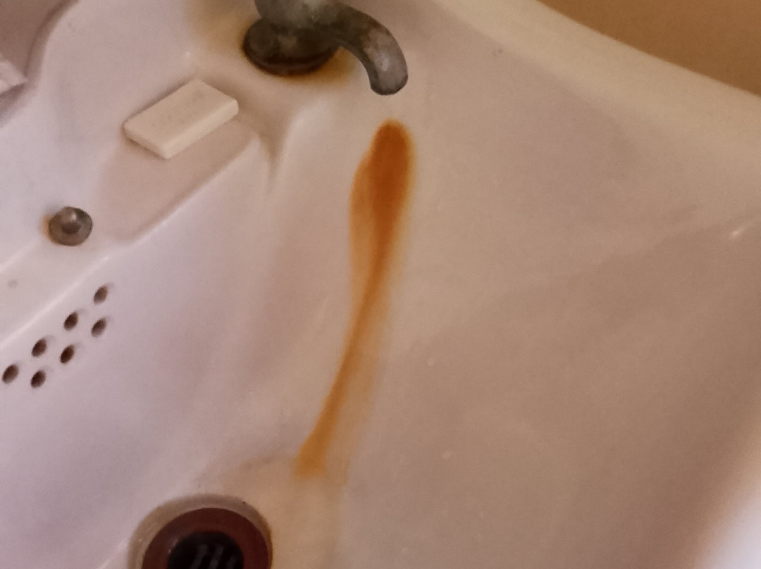 Criterion Hotel Warwick主图