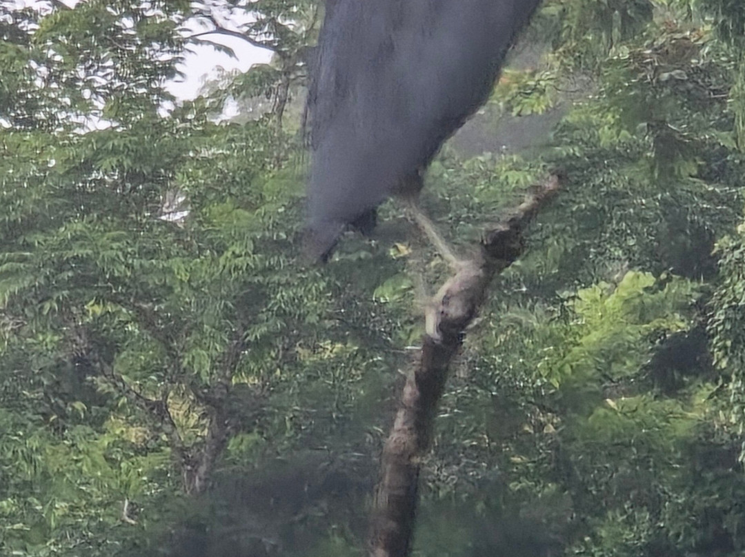 Best of Costa Rica DMC-圣何塞必去景点
