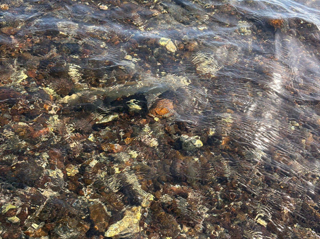 Explore Cape Verde-圣塔玛丽亚必去景点