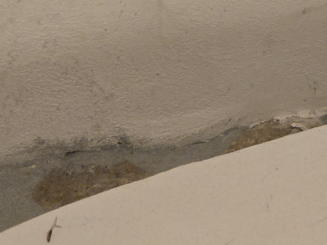 Castello Santa Margherita主图