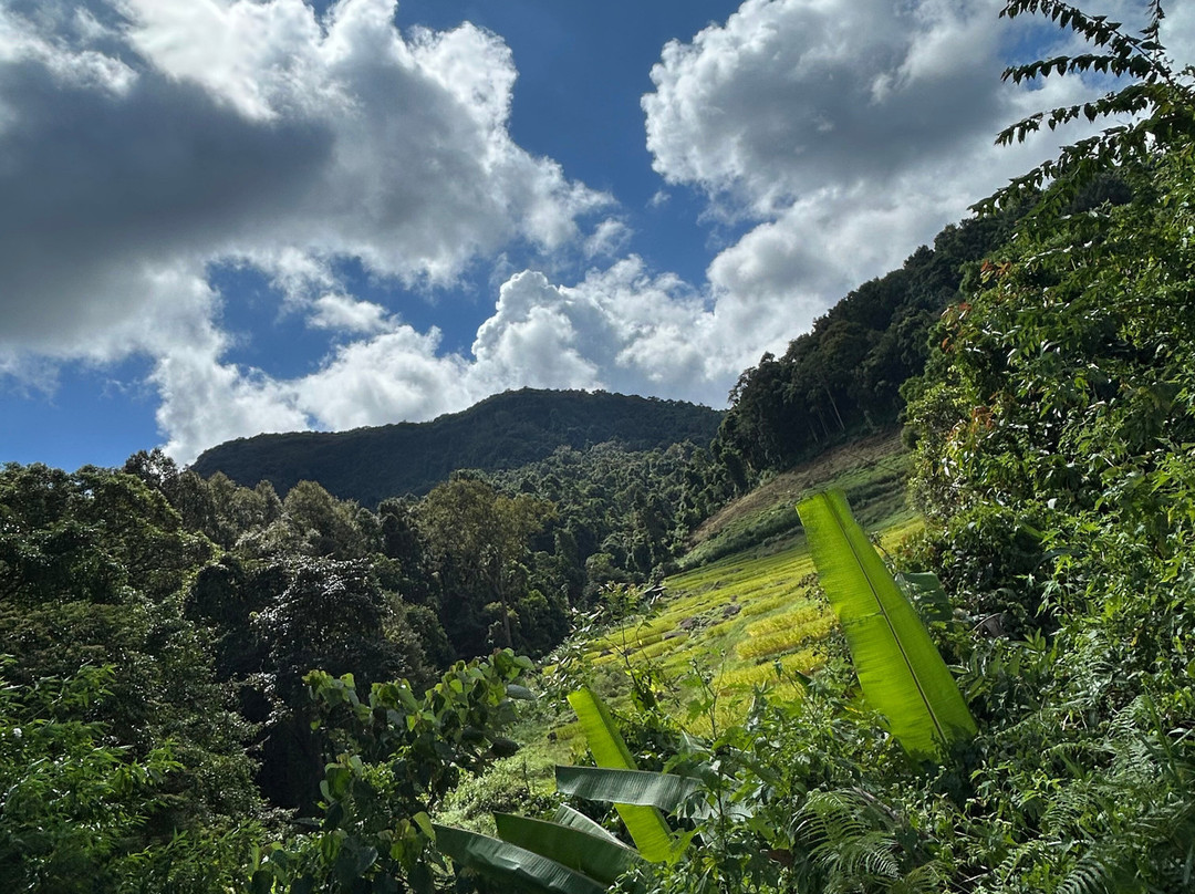 Thai Eco Trek Adventure-清迈必去景点