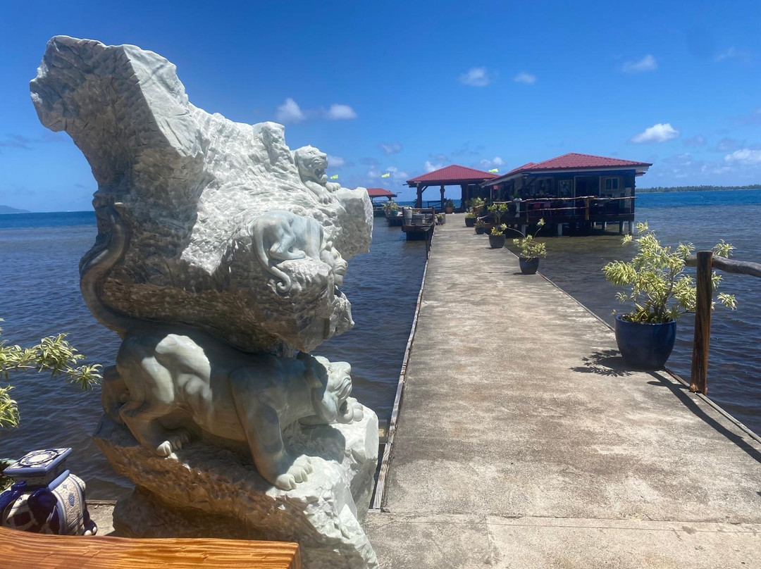 Arii Moana Tours-亚堤亚岛必去景点