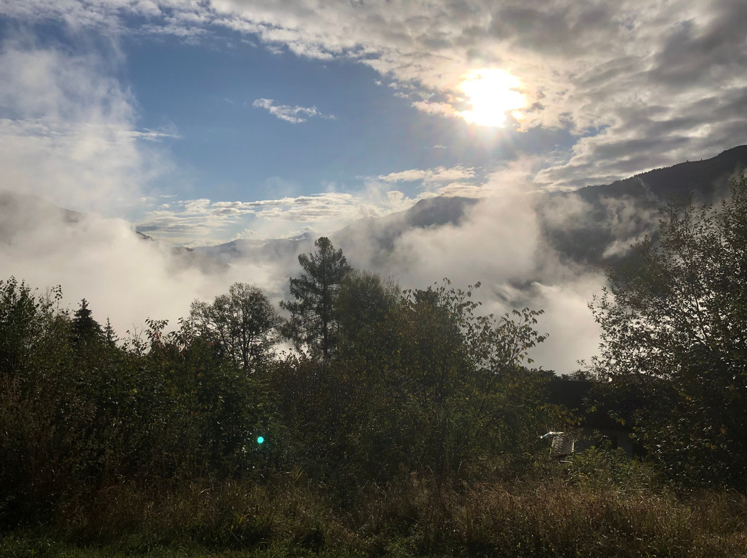 Family hotel Clarezia主图