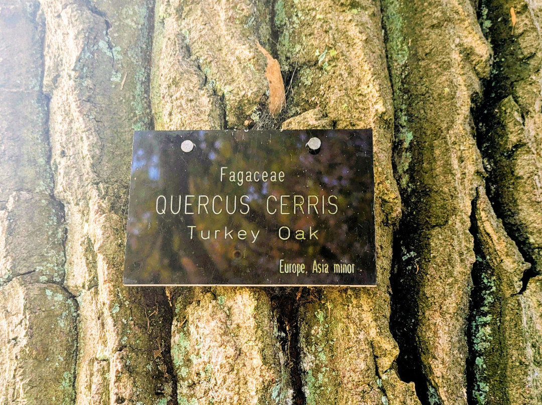 Harris Garden-雷丁必去景点