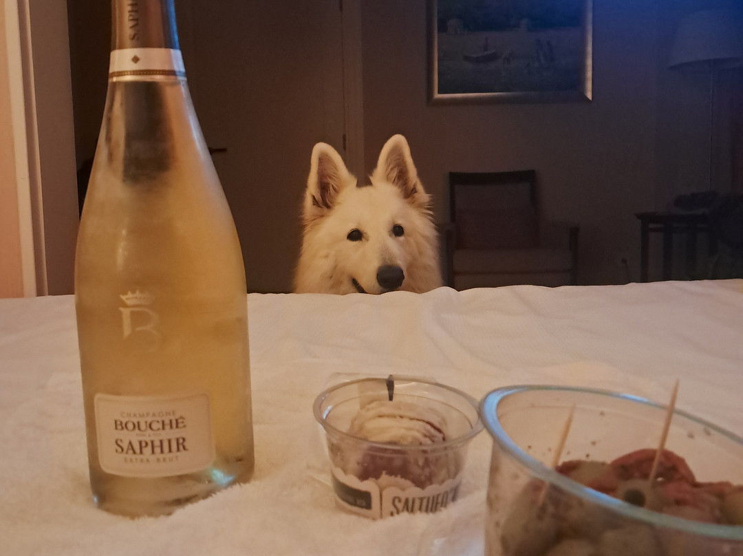 皇宫诺德韦克丽笙布鲁酒店主图