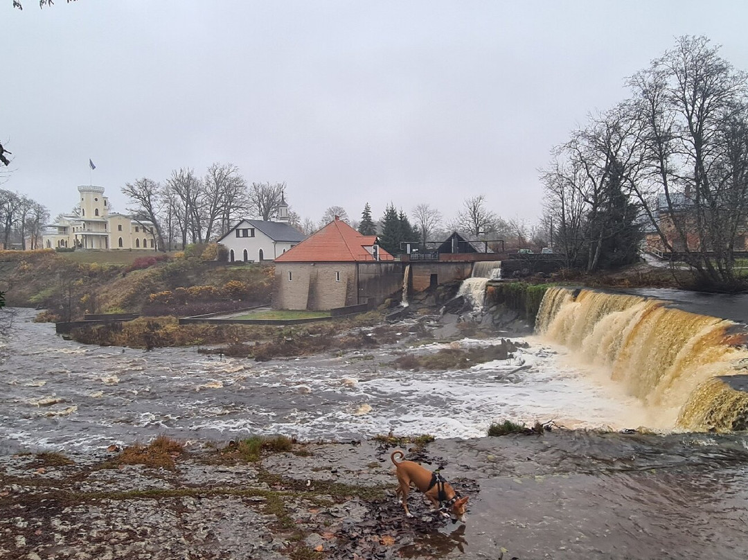 Nature Trail in Keila Joa Park-Keila必去景点