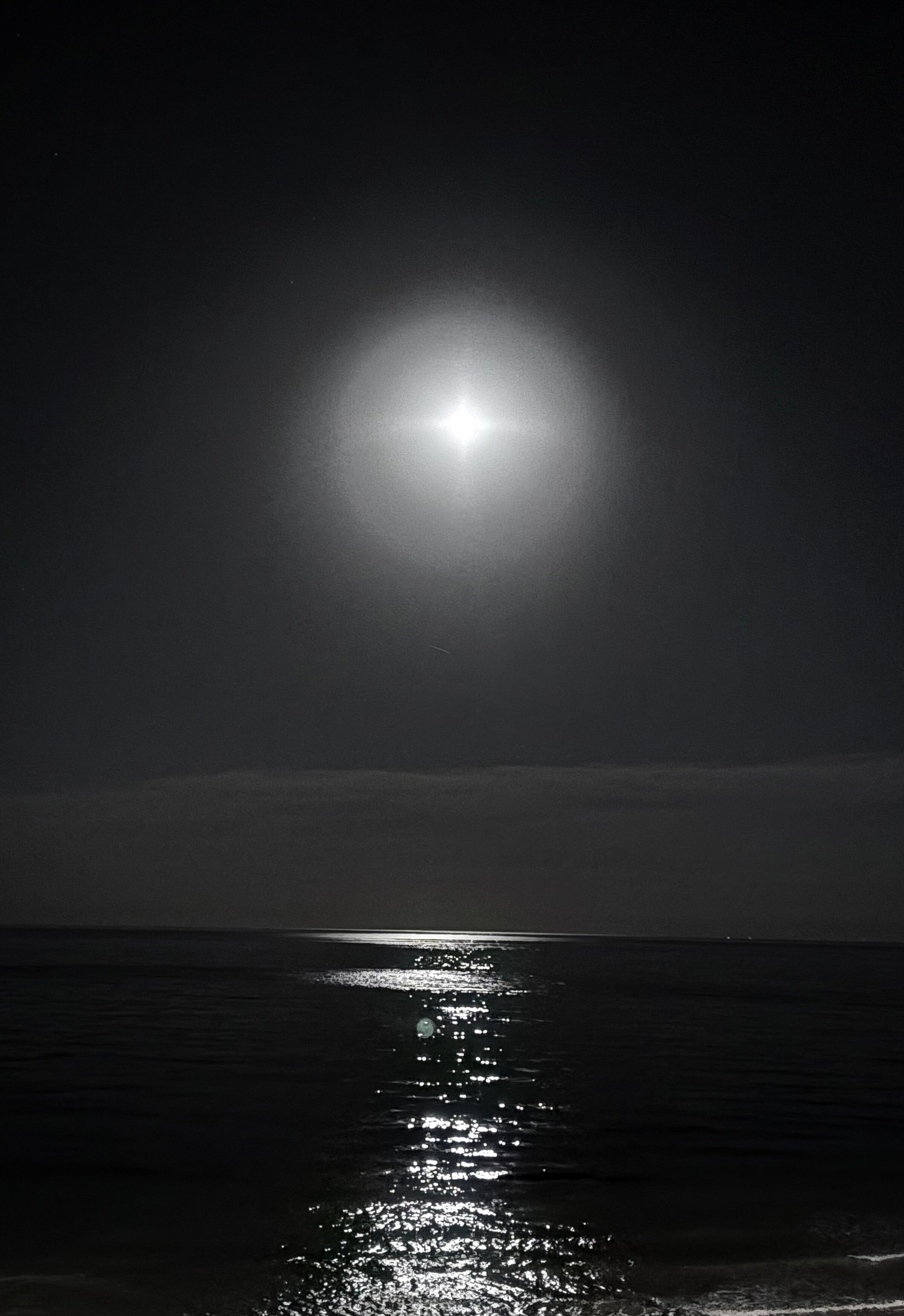 Sousse Palace Hotel & Spa-泳池