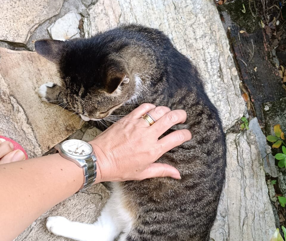 Pousada Sossego Boipeba主图