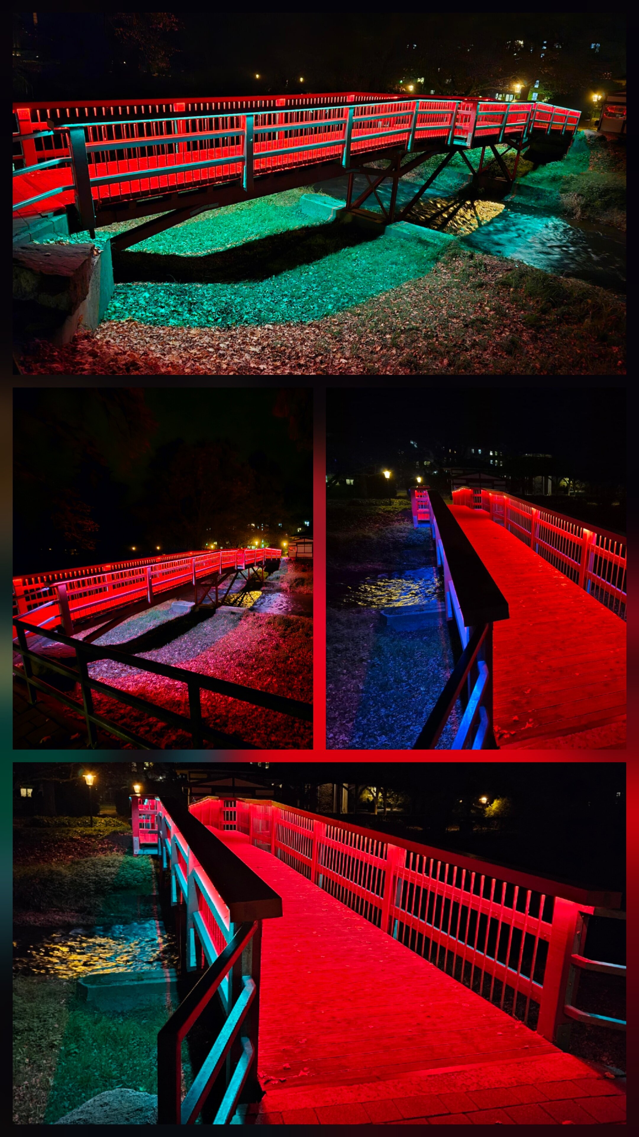 Hotel Badehof-官方