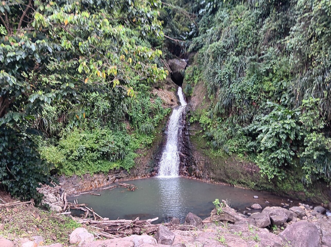 Annandale Falls-St. George's必去景点