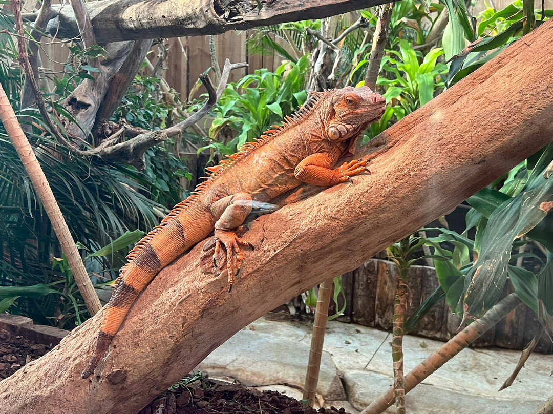 Terre de Dragons-Civaux必去景点