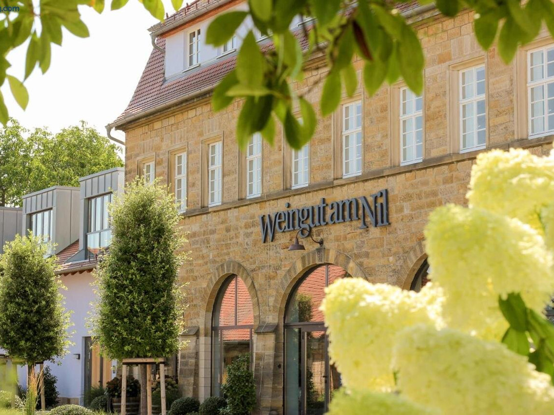 Freinsheim酒店住宿-Weingut am Nil