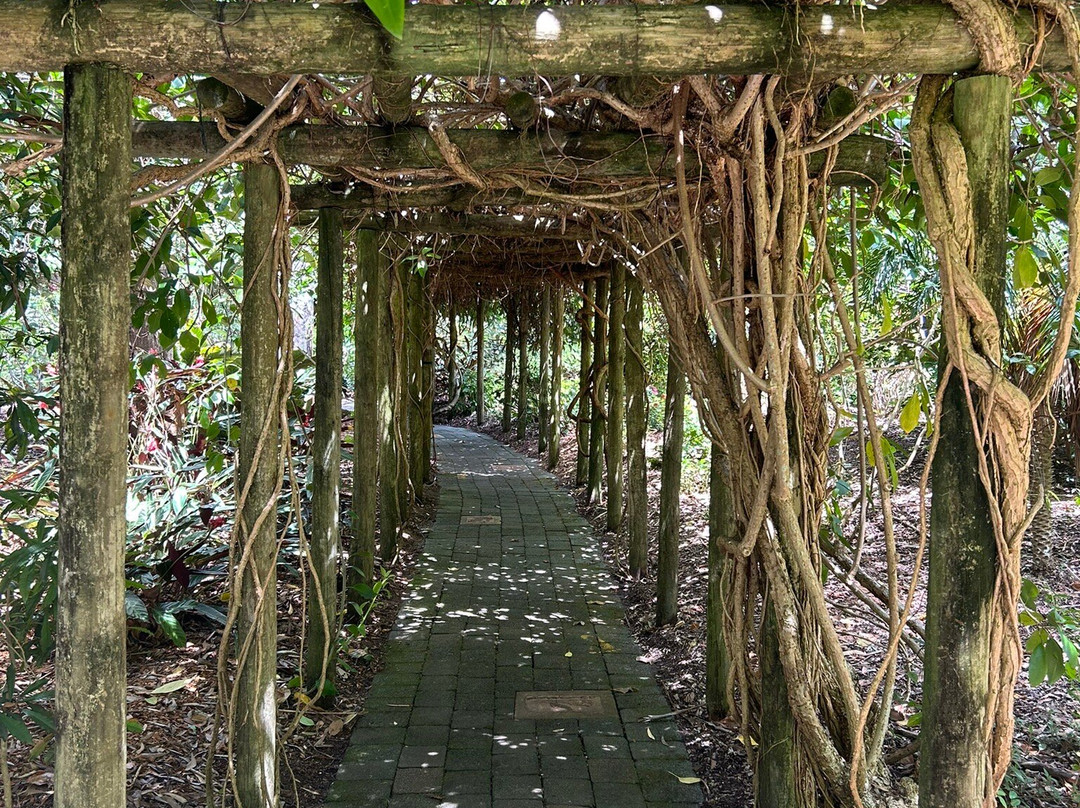 North Coast Regional Botanic Garden-科夫斯港必去景点