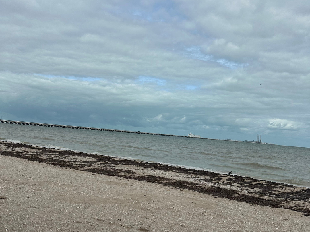 Hotel Scappata主图