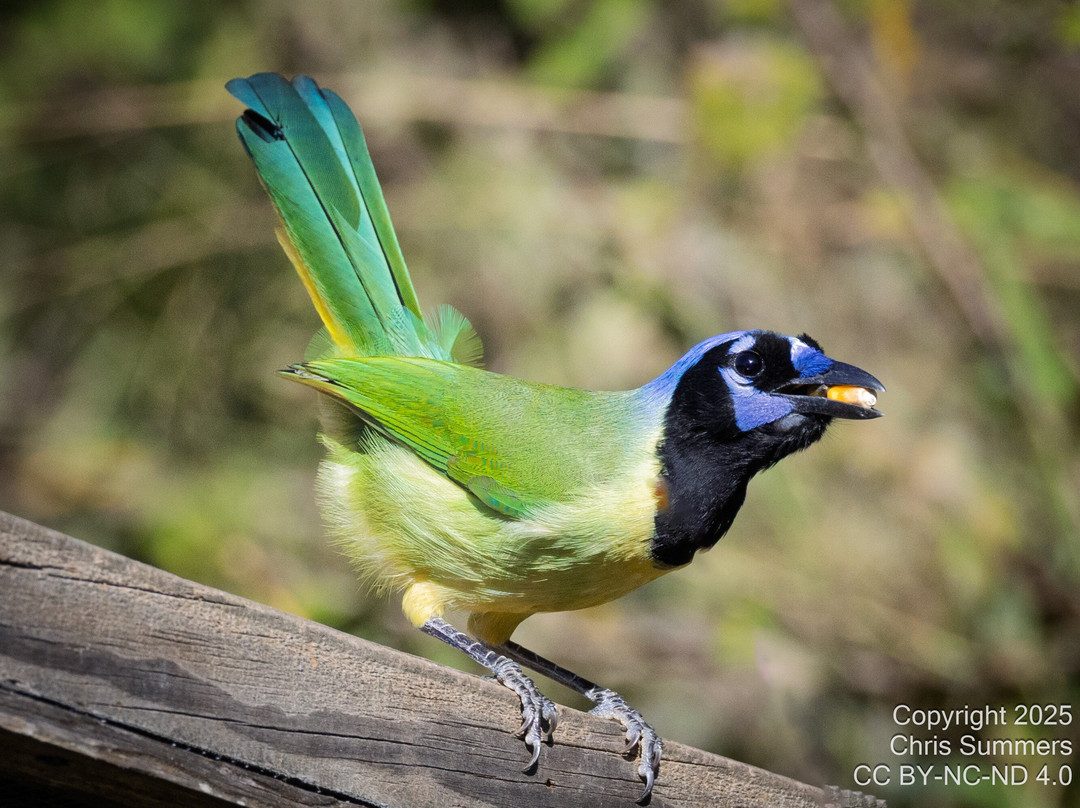 Goliad State Park & Mission Espíritu Santo State Historic Site-Goliad必去景点