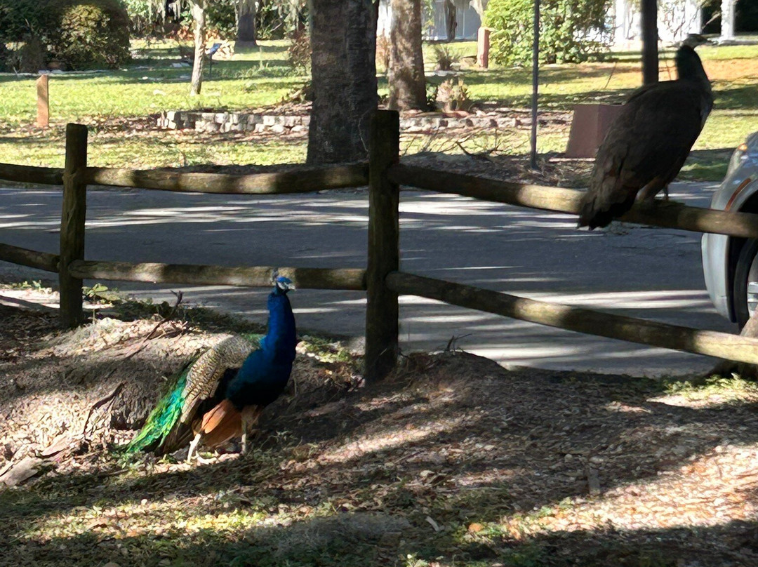 Magnolia Park-Apopka必去景点
