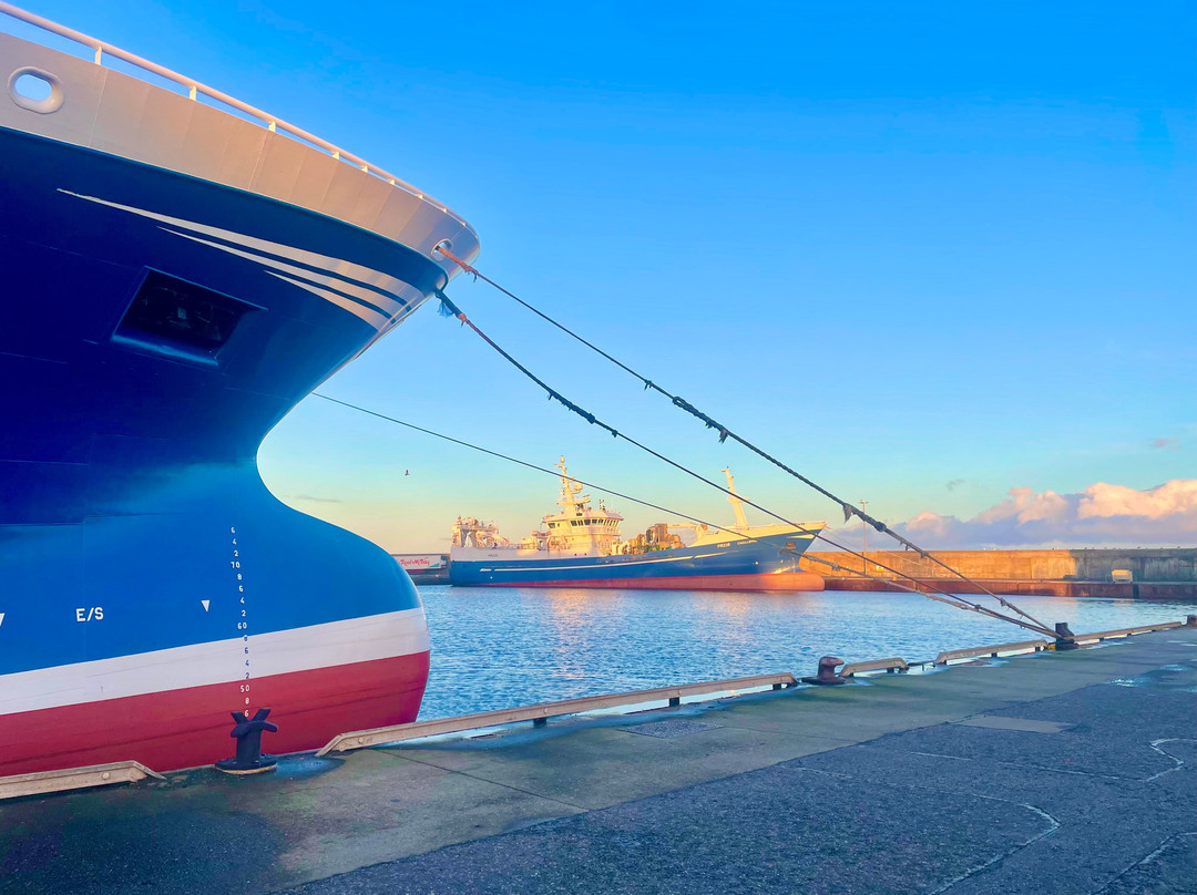 Fraserburgh Harbour-Fraserburgh必去景点
