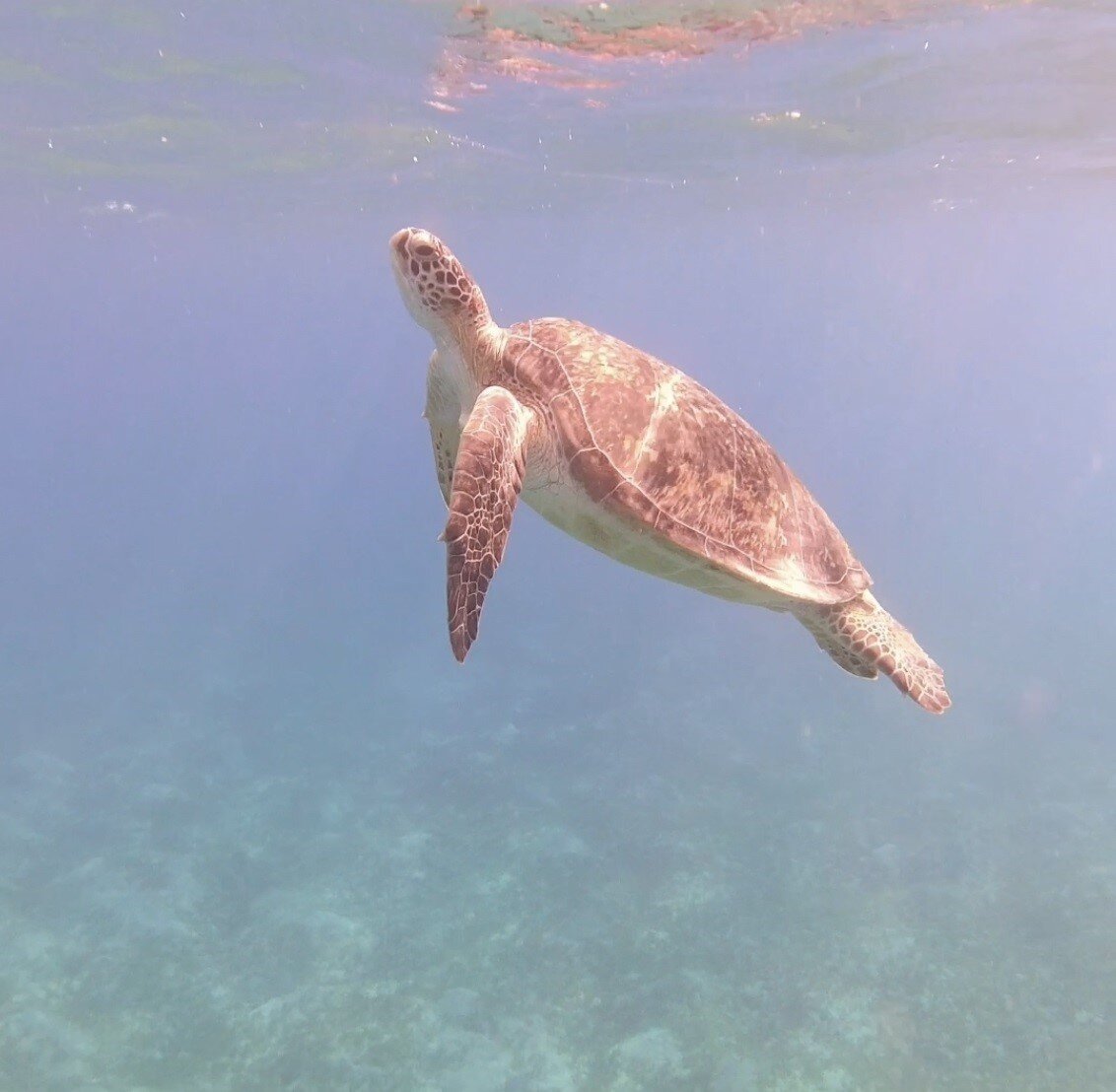 贾兹马卡蒂娜酒店-泳池