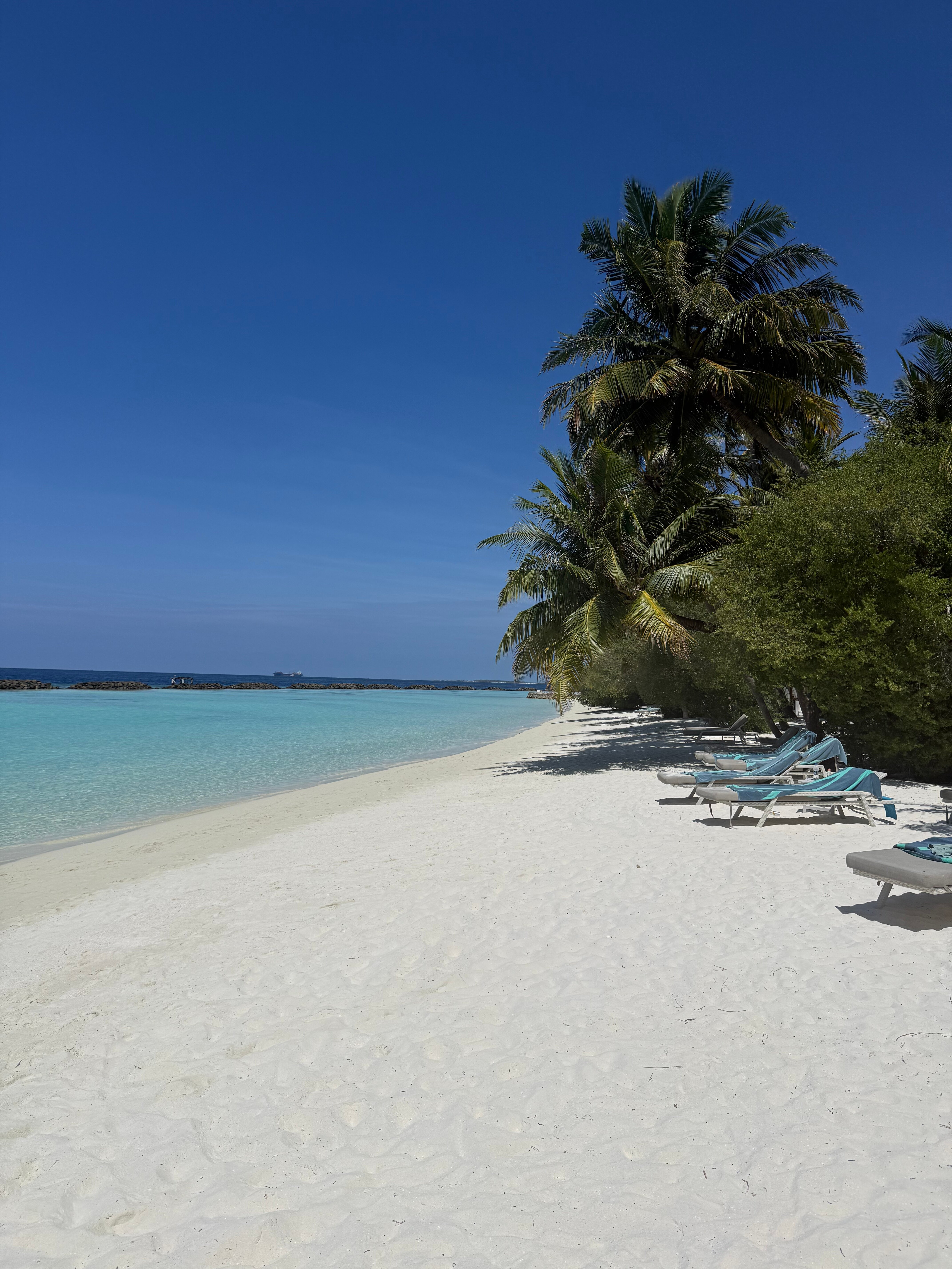 椰子岛库鲁巴度假村-官方