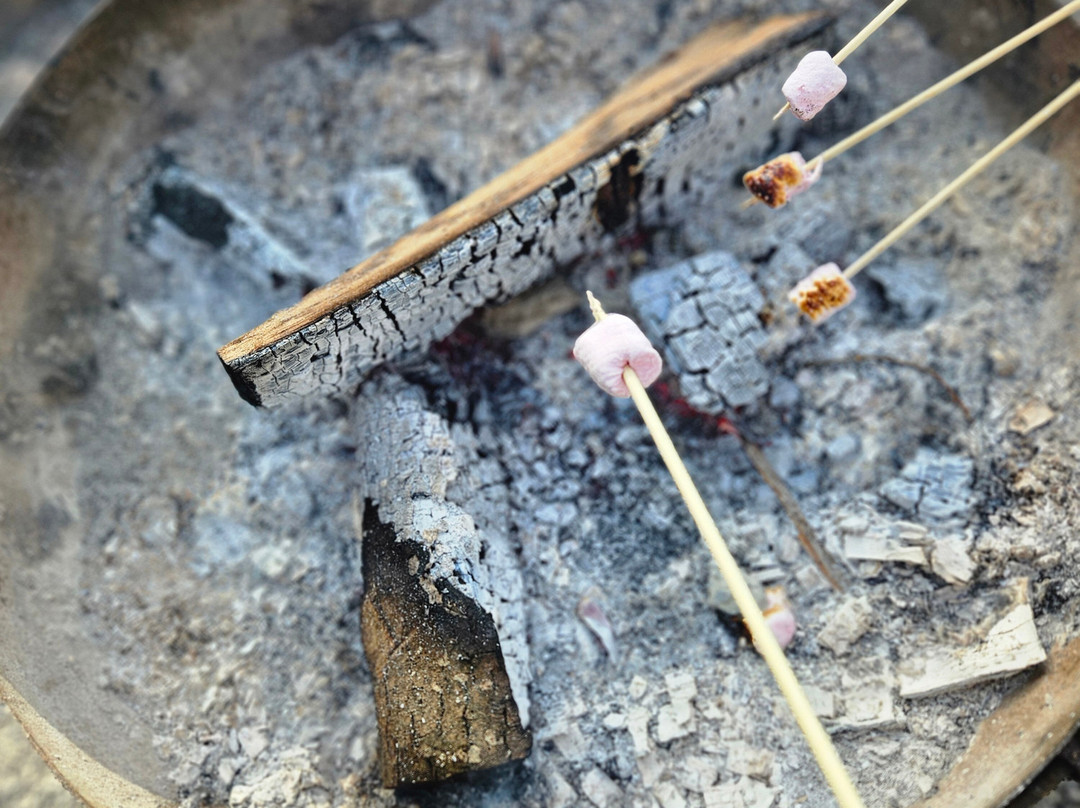 Le Grand Parc D'andilly Ete/hiver-Andilly必去景点