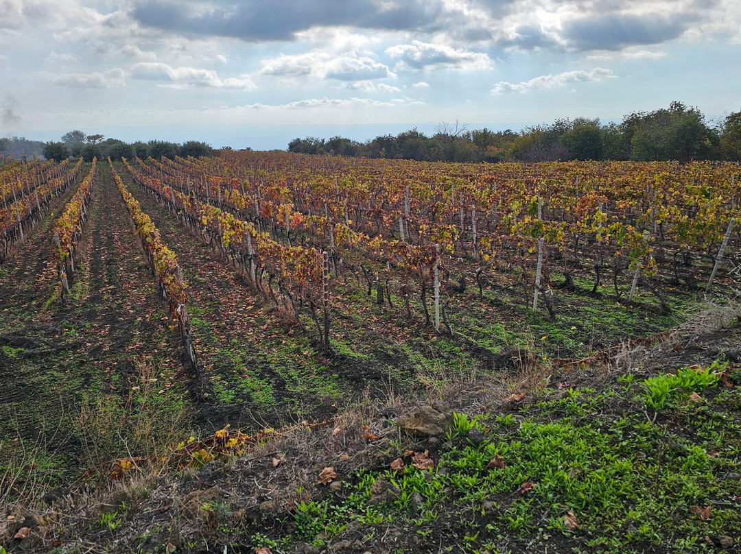 Tenuta Papale-Belpasso必去景点