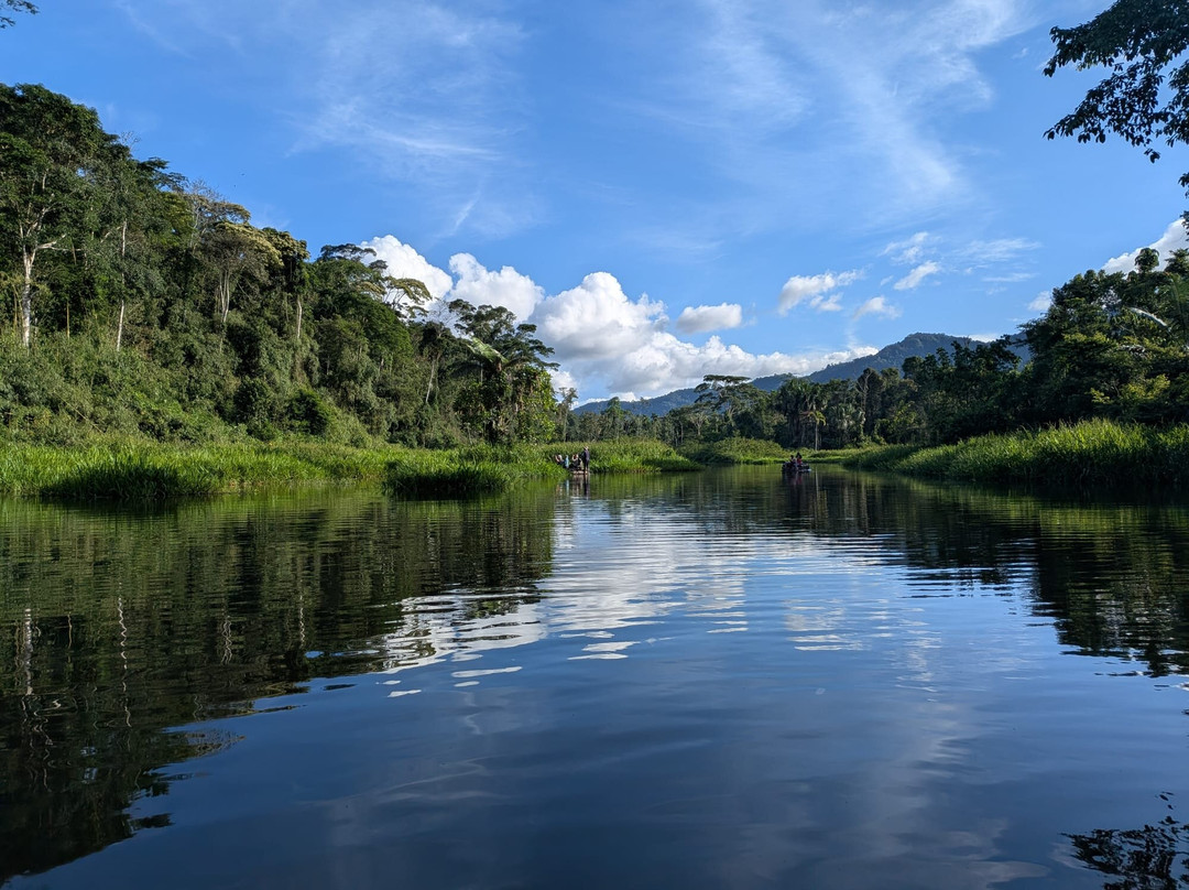 Inkamazonia Jungle Specialist-Manu必去景点