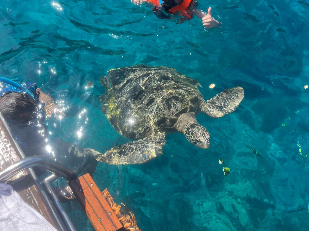 Phuket Cheap Tour-普吉岛必去景点