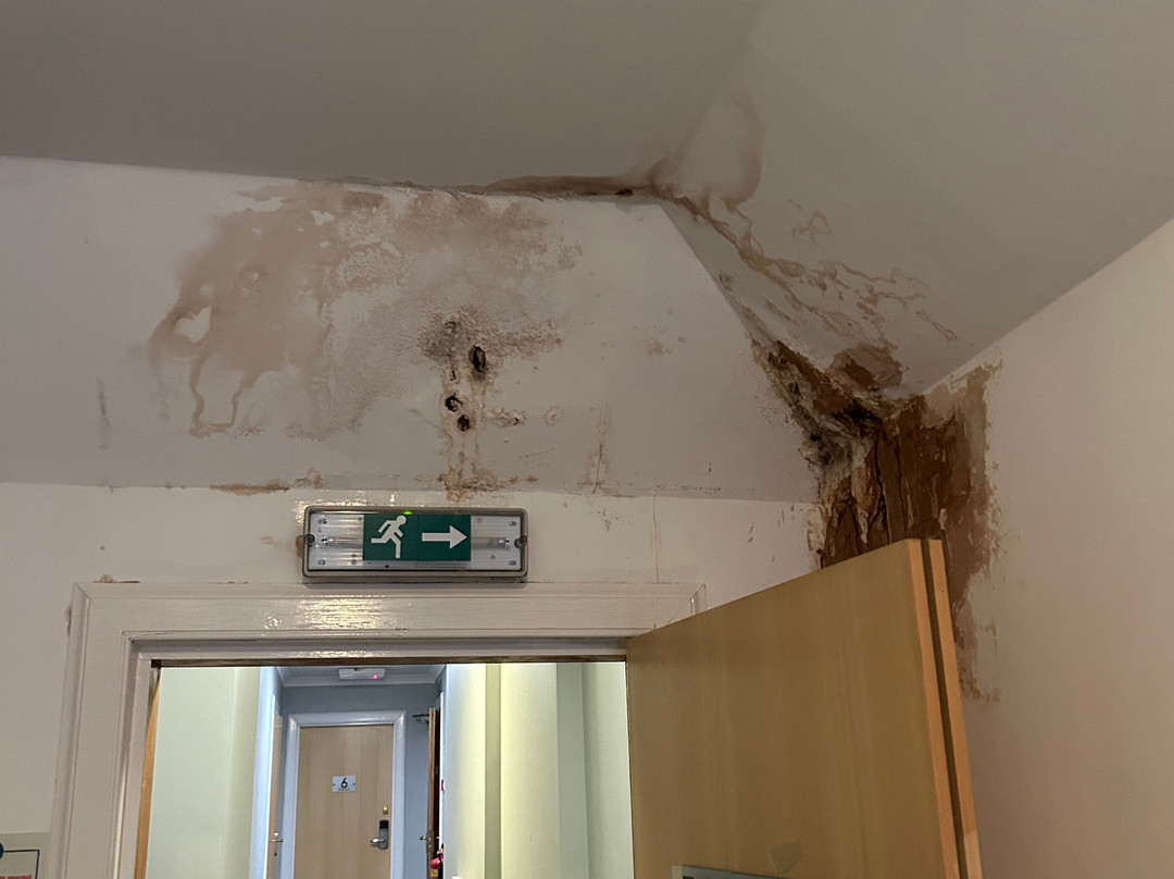 The Grey Gull Hotel主图