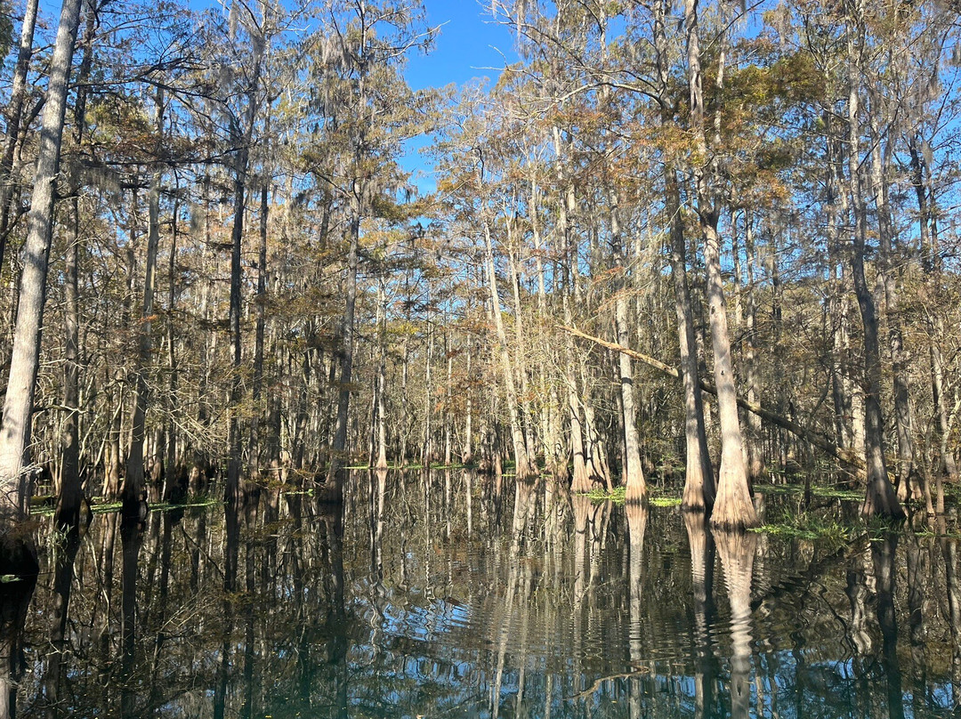 Midway Airboat Rides-Midway必去景点