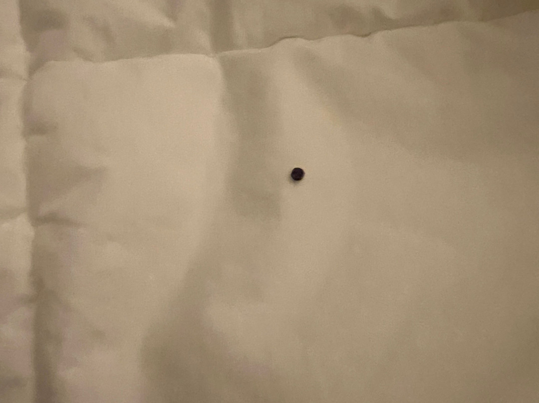 Comfort Suites Uniontown主图