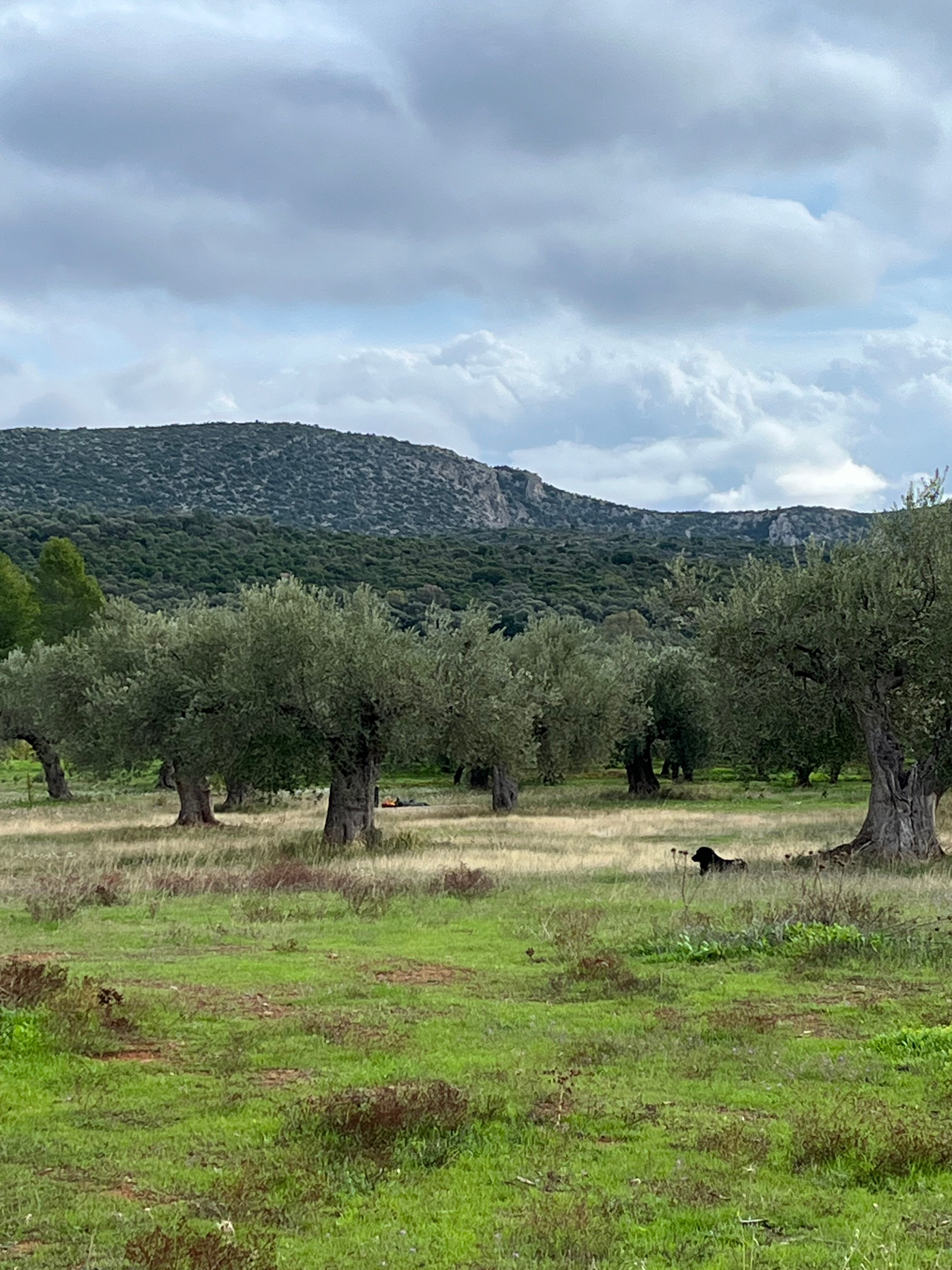 Eumelia Organic Agrotourism Farm-浴室