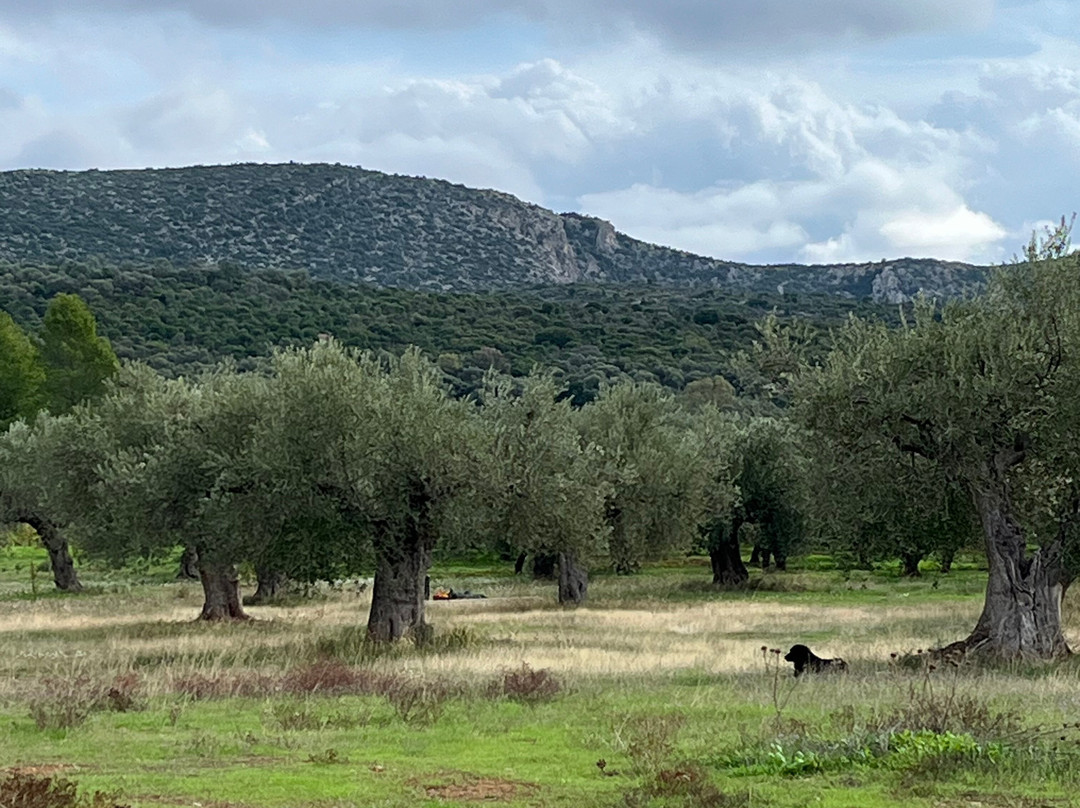 Eumelia Organic Agrotourism Farm主图