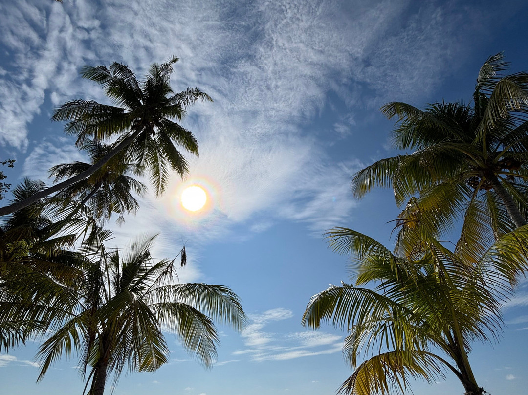 Into the Blue Lodge主图