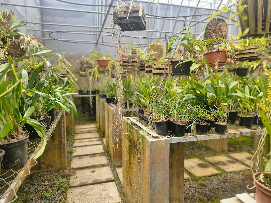 Orquidário MV-蒙特贝尔德必去景点