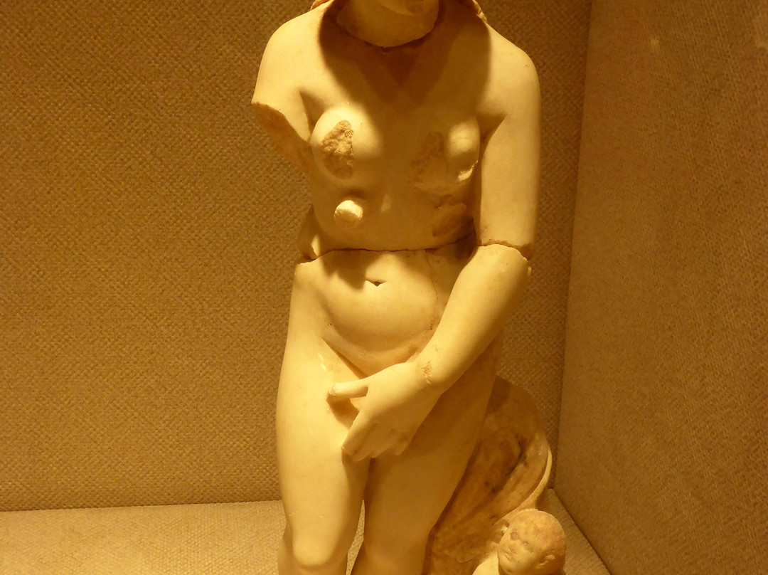 Petra Museum-佩特拉必去景点