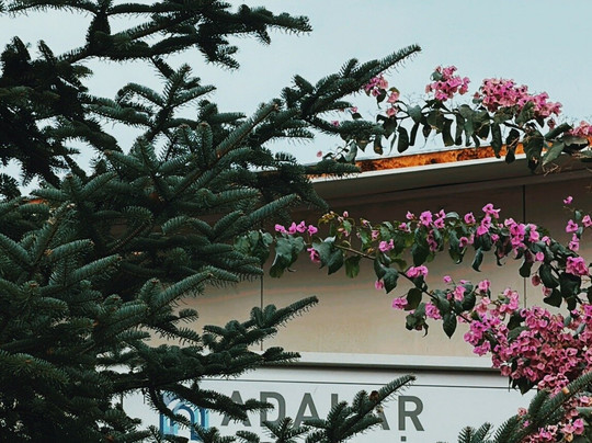 Adalar Museum-布尤卡达必去景点