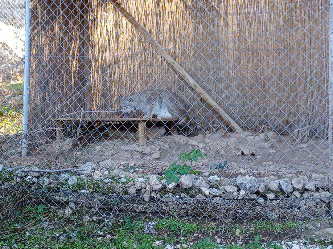 Iberfauna-Zuheros必去景点