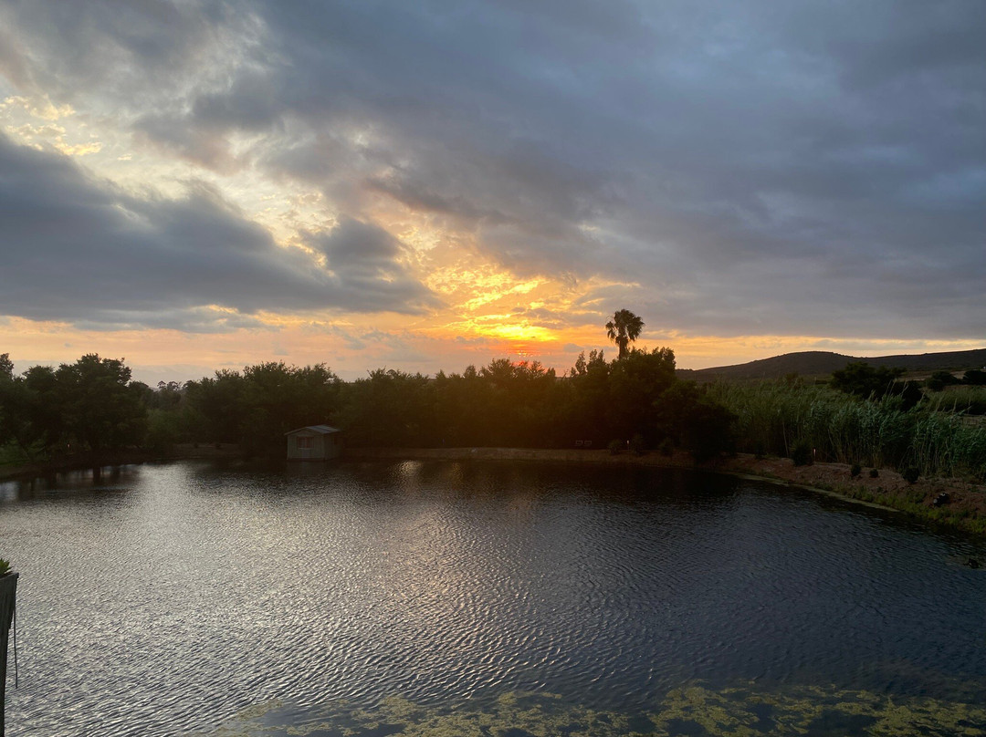 Thelab Robertson主图