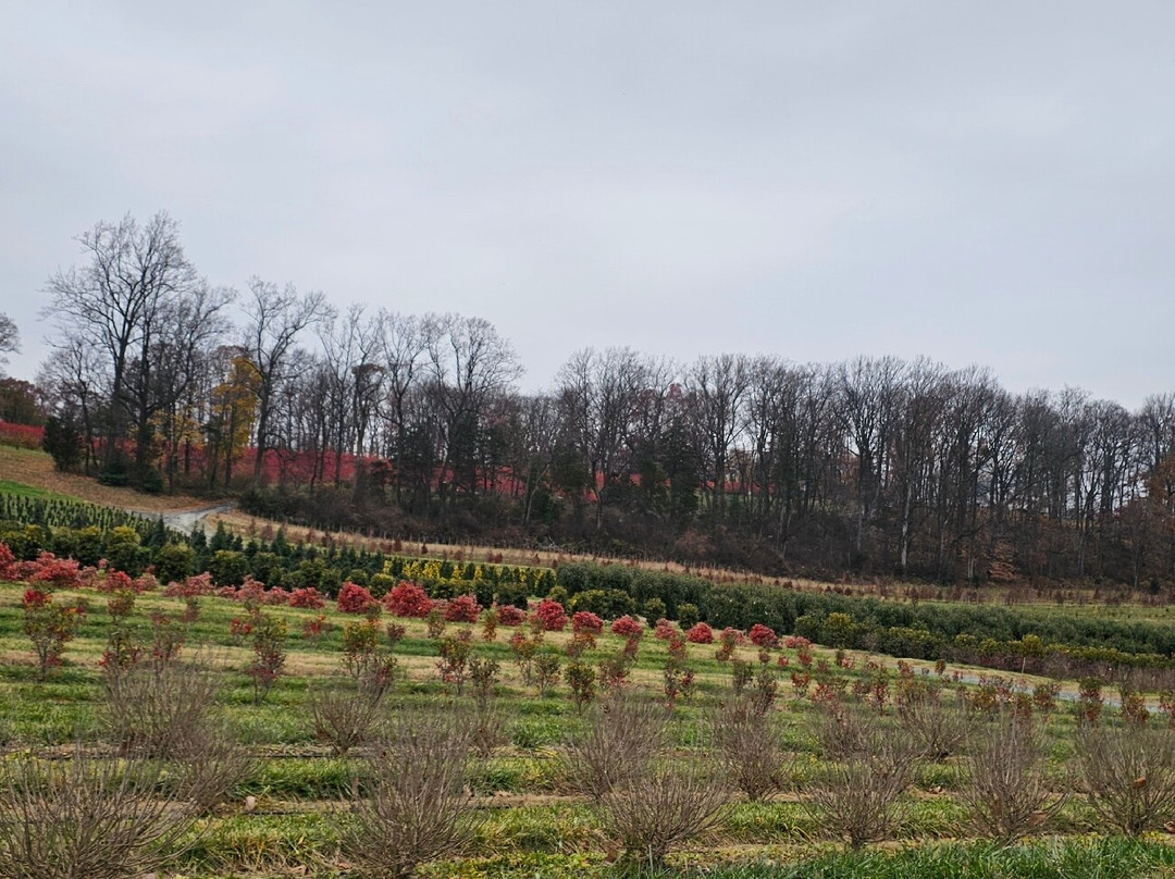 Foxborough Nursery-Street必去景点