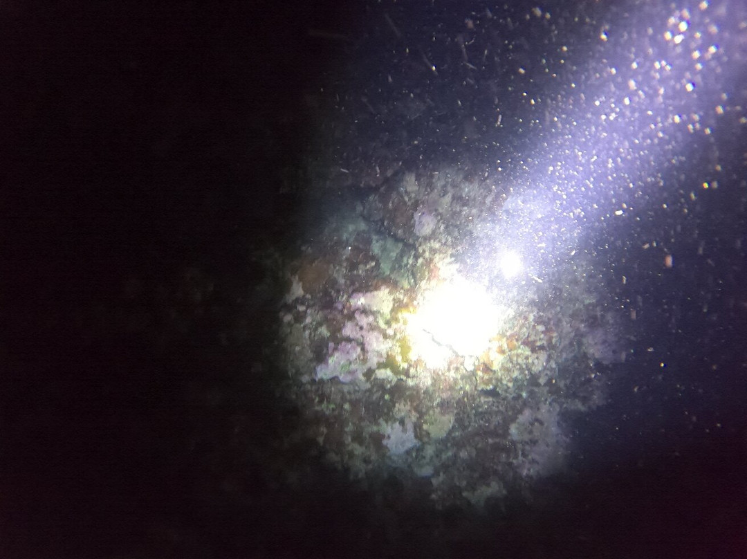 Big Blue Scuba Diving-维拉港必去景点