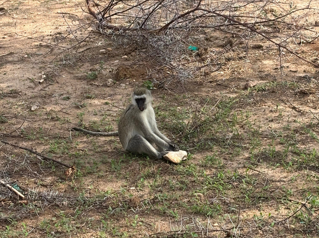 Sam safari & tours-Iringa必去景点