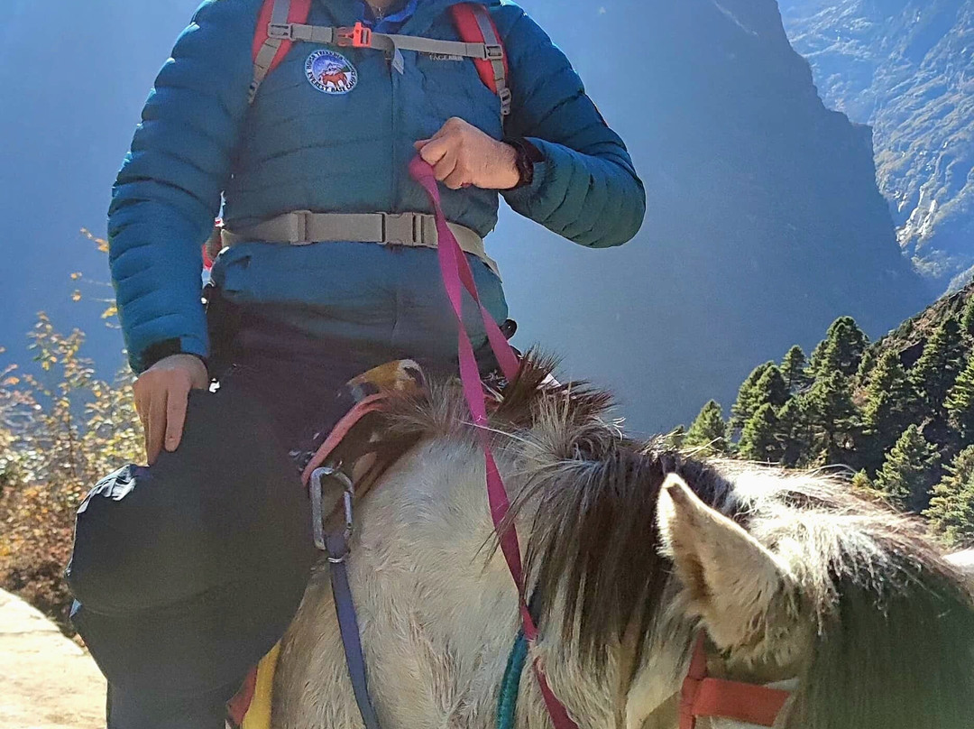 Swiss Family Treks & Expedition-加德满都必去景点