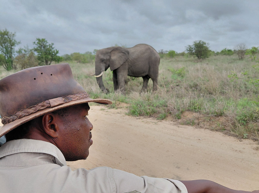 Kamaroutes travel Designers-Johannesburg South必去景点